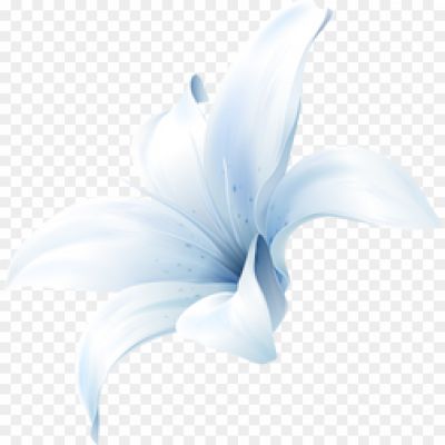 A-Few-Lilies-Transparent-File.png PNG Images Icons and Vector Files - pngsource
