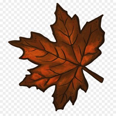 Acorn-Autumn-Leaves-Download-Free-PNG.png
