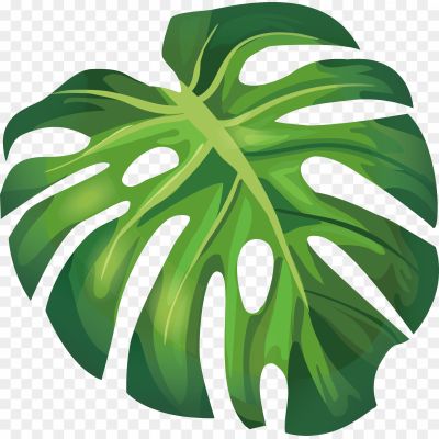Aesthetic-Leaf-PNG-Free-Download.png