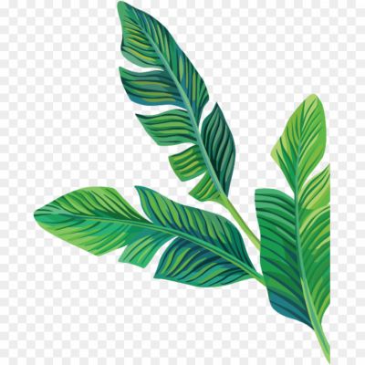 Aesthetic-Leaf-PNG-Isolated-File.png