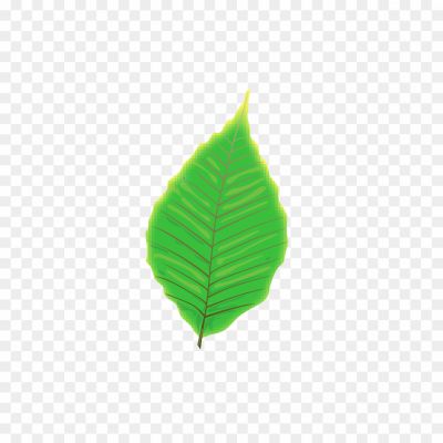 Aesthetic-Leaf-PNG-Photo.png