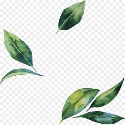 Aesthetic-Leaves-PNG-Isolated-HD.png