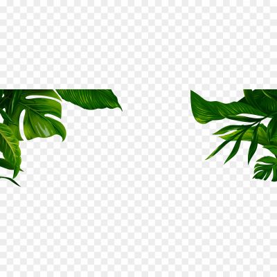 Aesthetic-Leaves-PNG-Isolated-Photos.png