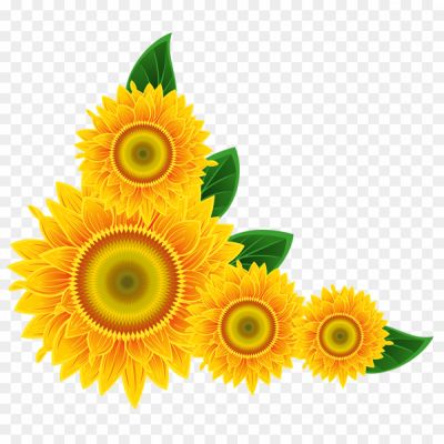 Sunflower, Flower, Yellow Petals, Large Flower Head, Sunflower Seeds, Sunflower Oil, Sunflower Field, Bright, Cheerful, Summer, Garden, Nature, Sunflower Bouquet, Sunflower Wallpaper