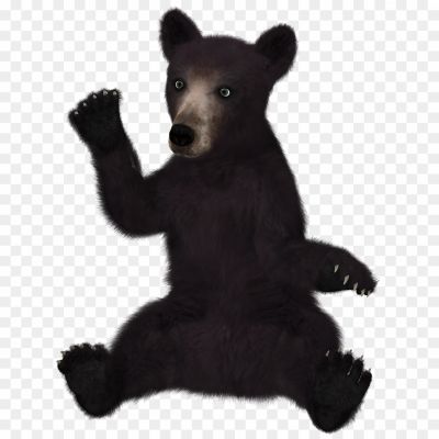 American-Black-Bear-Transparent-Image-Pngsource-4EZXOJLO.png