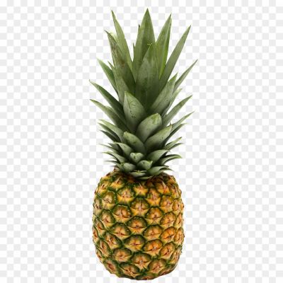 Ananas, Pineapple, Tropical Fruit, Sweet, Tangy, Juicy, Refreshing, Bromelain, Vitamin C, Tropical Drink, Pineapple Juice, Tropical Dessert, Exotic, Spiky, Yellow, Fruit Salad, Pineapple Salsa, Pineapple Upside-down Cake, Grilled Pineapple, Pineapple Smoothie