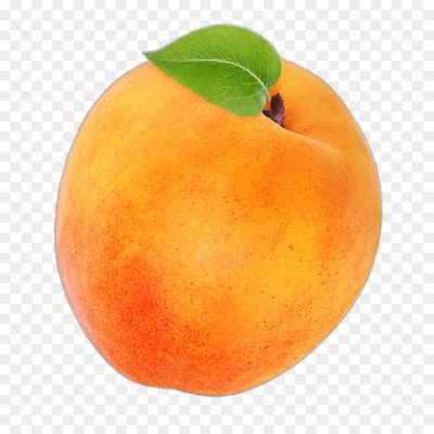 Apricot Fruit, Dried Apricot, Apricot Jam, Apricot Tree, Apricot Recipes, Apricot Dessert, Apricot Smoothie, Apricot Pie, Apricot Preserves, Apricot Sauce, Khubani