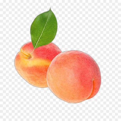 Apricot Fruit, Dried Apricot, Apricot Jam, Apricot Tree, Apricot Recipes, Apricot Dessert, Apricot Smoothie, Apricot Pie, Apricot Preserves, Apricot Sauce.