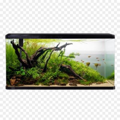 Aquarium Fish Tank PNG Clipart Background - Pngsource