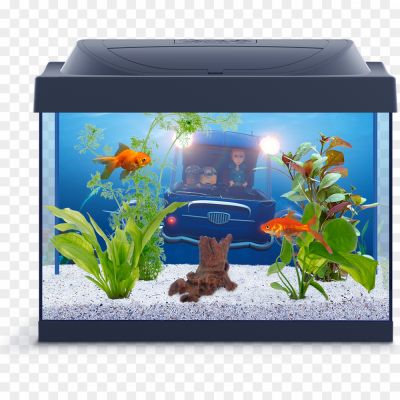 Aquarium Fish Tank Transparent Background - Pngsource