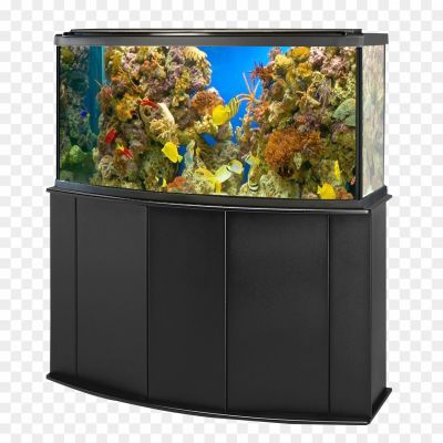 Aquarium-Fish-Tank-Transparent-File-Pngsource-8G7Z27YS.png