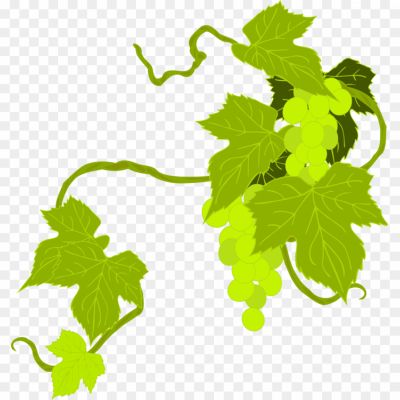 Art-Grape-Vine-Leaf-Transparent-Background-Pngsource-L0IB1AW9.png