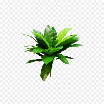 Artificial-Fern-PNG-Clipart-Background.png