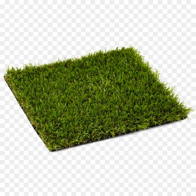 Artificial Grass Carpet Transparent PNG - Pngsource