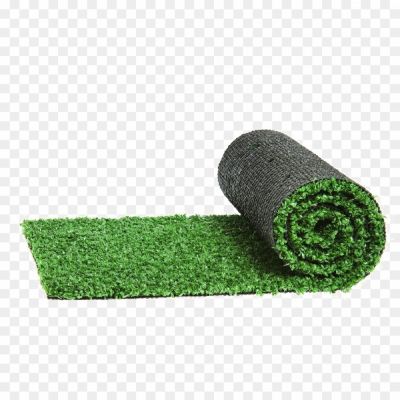 Artificial Grass Long Mat Transparent PNG - Pngsource