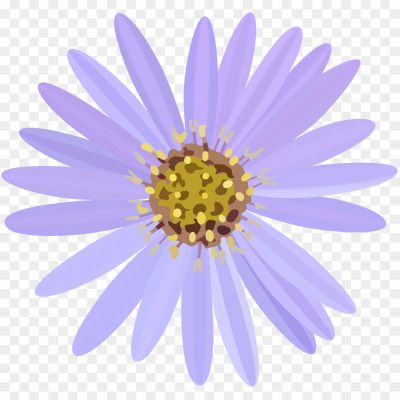 Aster-Transparent-PNG-Pngsource-V883HPAM.png PNG Images Icons and Vector Files - pngsource