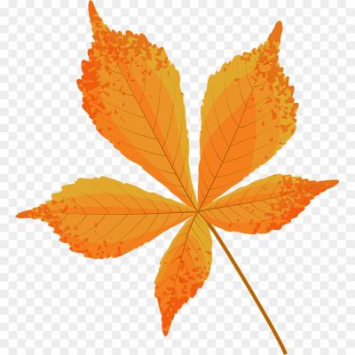 Autumn-Beech-Leaf-Transparent-Background-FC0CG41T.png