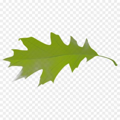 Autumn-Leaves-Green-Free-PNG-BLPP20I1.png