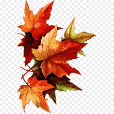 Autumn-Leaves-Group-PNG-HD-Quality-8LQP0OPD.png