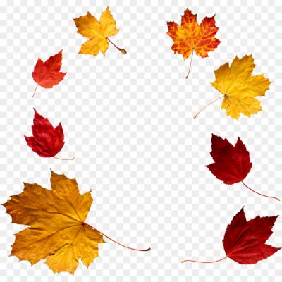 Autumn-Leaves-PNG-File-JV0GZS17.png