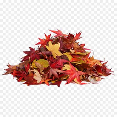 Autumn-Leaves-Pile-PNG-Background-CTONZX8N-8TAZSDC4.png