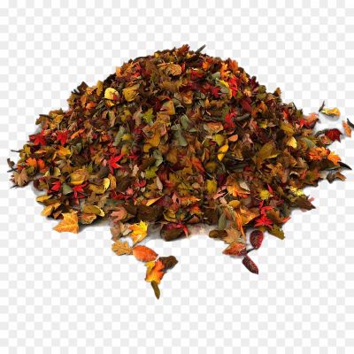 Autumn-Leaves-Pile-Transparent-Background-M38N2VAK-54E3FIYP.png PNG Images Icons and Vector Files - pngsource