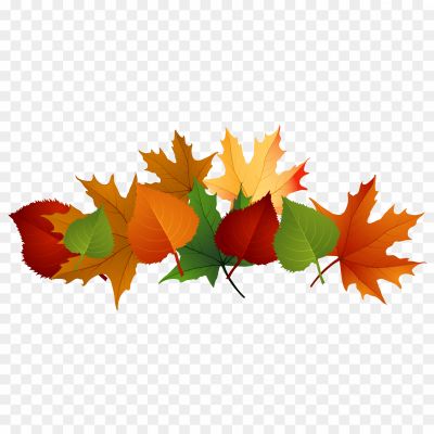 Autumn-PNG-Transparent.png