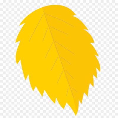 Autumn-Yellow-Leaf-PNG-Photos-TO6ULQ9E.png