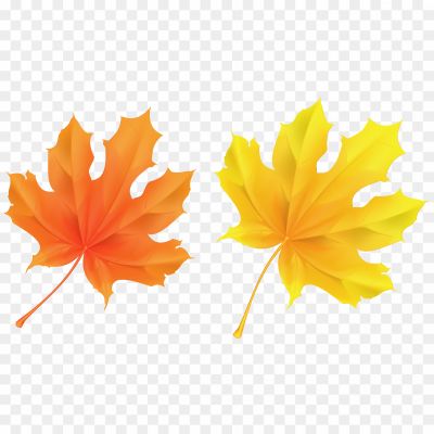 Autumn-Yellow-Leaf-Transparent-Image-BWVJM10S.png