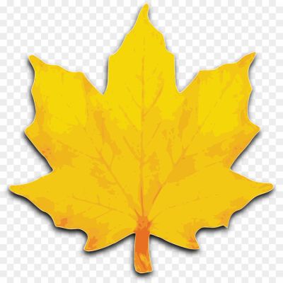 Autumn-Yellowish-Leaf-Background-PNG-Image0.png