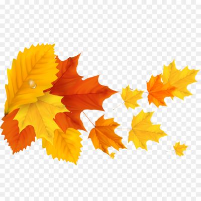 Autumn-Yellowish-Leaf-PNG-Clipart-Background.png