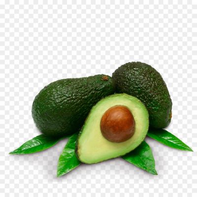 alpukat, avocado