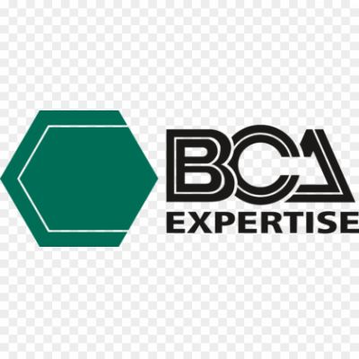 BCA-Expertise-Logo-Pngsource-YWNOQ3YU.png