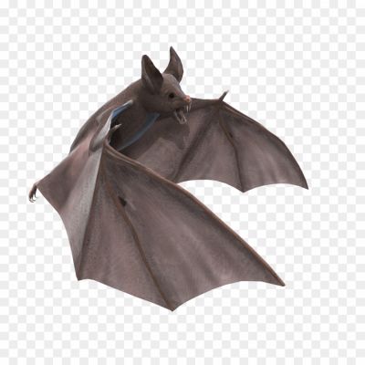 Bat-Wings-PNG-EVDJQN5V.png