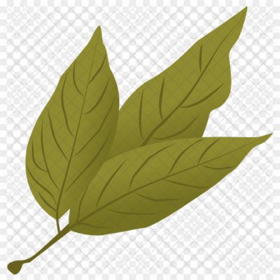 Bay-leaves-PNG-HD-3PTKMOLD.png