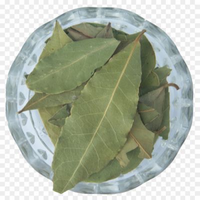 Bay Leaves, Aromatic Leaves, Culinary Herb, Dried Leaves, Green Leaves, Flavor Enhancer, Cooking Ingredient, Herbal Tea, Mediterranean Cuisine, Soups, Stews, Sauces, Rice Dishes, Herbal Remedy, Natural Insect Repellent, Bay Leaf Tree