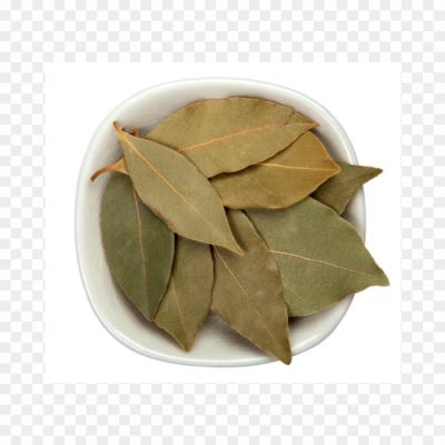 Bay-leaves-PNG-Image-JMYDBXKA.png