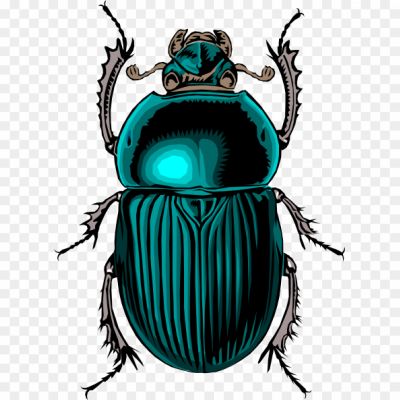 Beetle-Bug-PNG-Clipart-Background.png