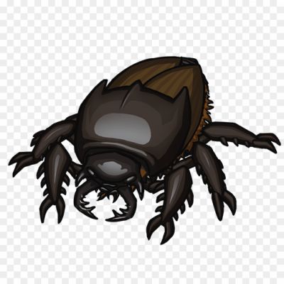 Beetle-Insect-PNG-Background.png