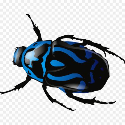 Beetle-Insect-PNG-Photos.png