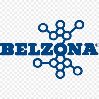 Belzona-Logo-Pngsource-TWBAF5AJ.png