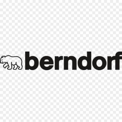 Berndorf-AG-Logo-Pngsource-1QG66WA6.png