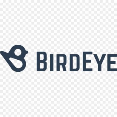 BirdEye-Logo-Pngsource-7QMY785E.png