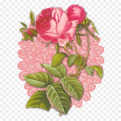 Birthday-Roses-Transparent-Image-Pngsource-GSYG4E84.png