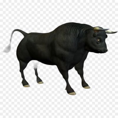 Ox, Cattle, Livestock, Farm, Horns, Grazing, Strength, Agriculture, Domesticated, Herbivore, Plough, Ranch, Barn, Bull, Milk, Oxen, Sturdy, Work, Herd, Steer