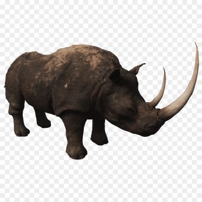 Black-Rhinoceros-PNG-Free-File-Download-64UVH8.png PNG Images Icons and Vector Files - pngsource