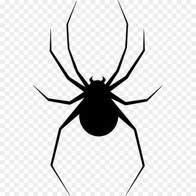 Black Spider, Arachnid, Spider Species, Venomous, Black Coloration, Eight Legs, Arthropod, Predatory Behavior, Silk Production, Spiderweb, Spider Anatomy, Black Widow Spider, Black House Spider, Black Jumping Spider