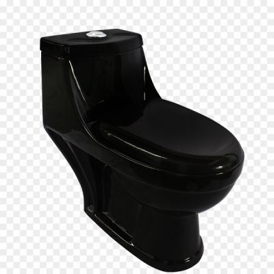Black-Toilet-Seat-PNG-Images-HD-Pngsource-TITGKC9L.png