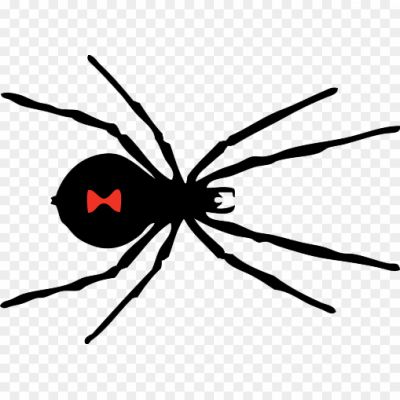 Black-Widow-Spider-PNG-Image-Pngsource-ZSZQ0VN6.png