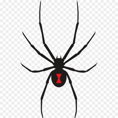 Black-Widow-Spiders-Transparent-File.png